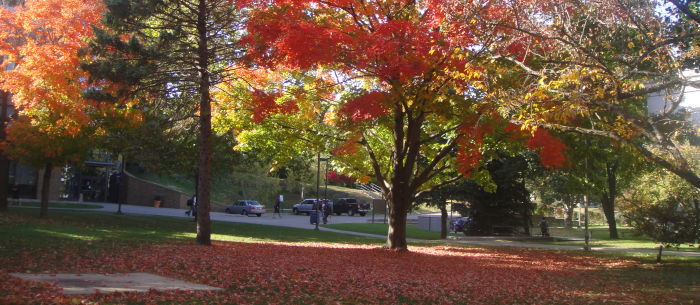 Augustana in autumn