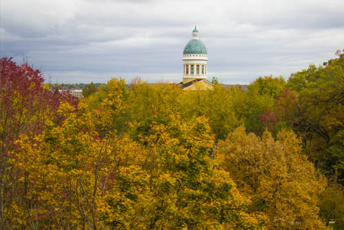 autumn beauty 1