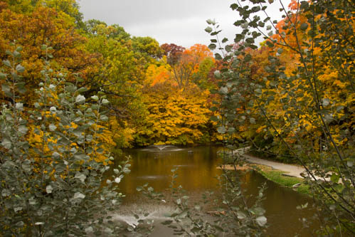 autumn beauty 3