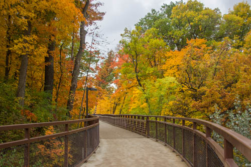 autumn beauty 4