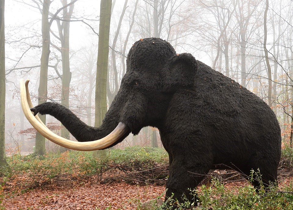 giant mastodon