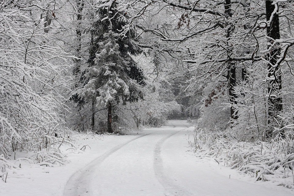 snow covered road through the forest