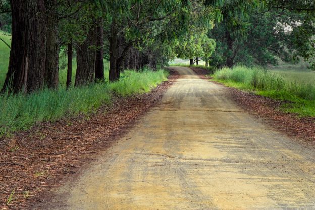 a dirt road with trees alongside